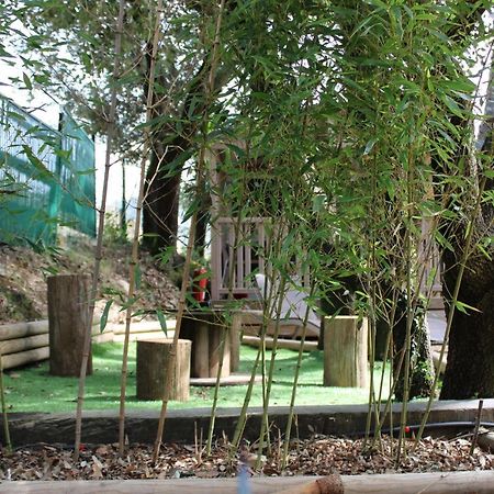Villa Le Domaine Du Naizadou Chalet Lou Grilh La Barriére Exterior foto
