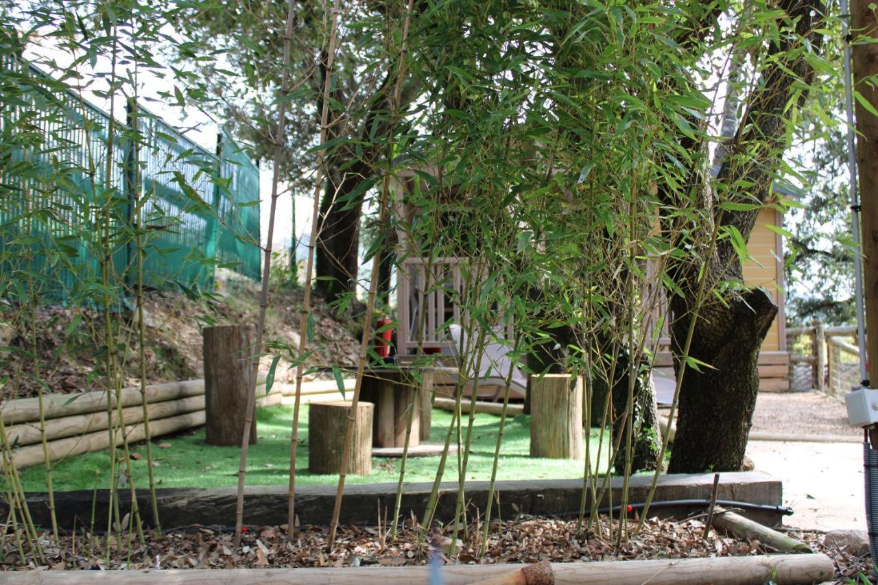 Villa Le Domaine Du Naizadou Chalet Lou Grilh La Barriére Exterior foto